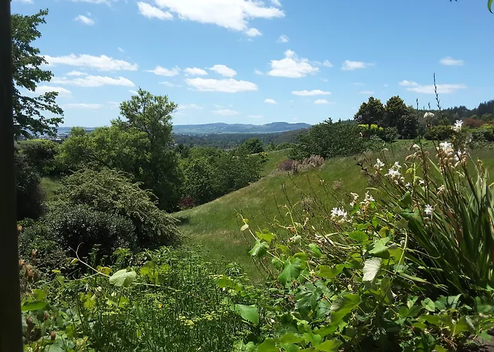 Geyser Lookout 4* Rotorua